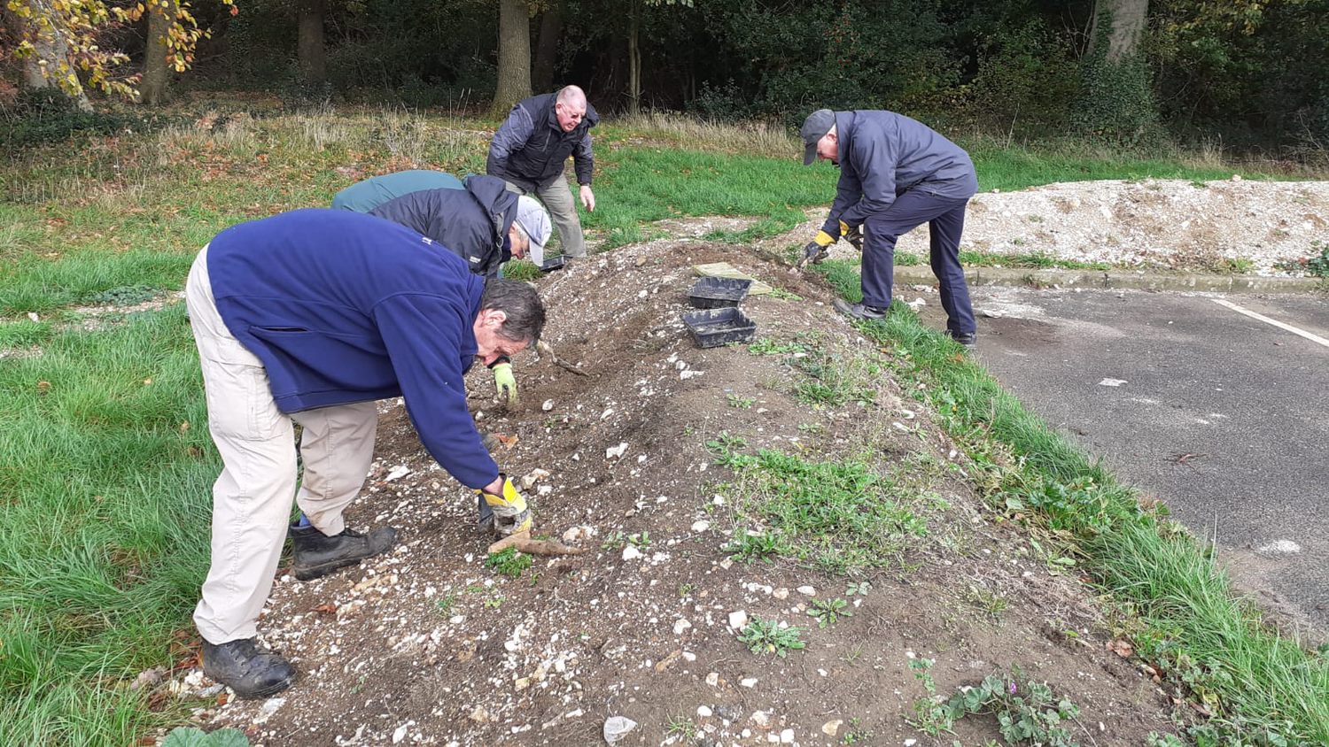 Planting at Riddlesdown common