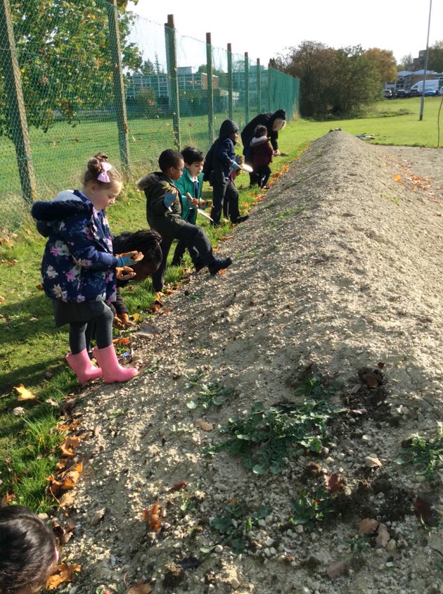 School planting